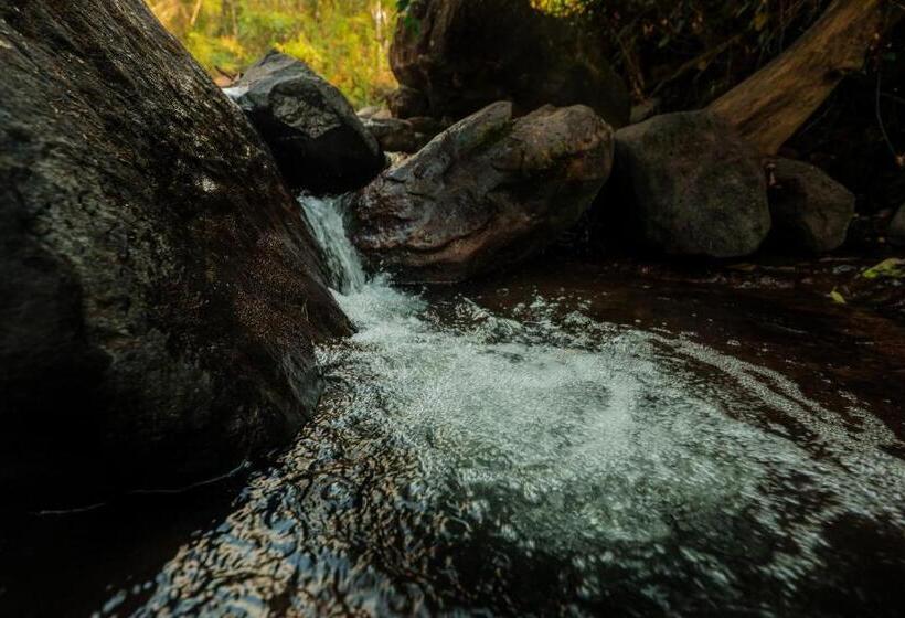 酒店 Hill Rows Estate By Greenescapes