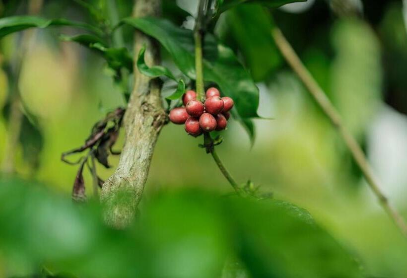 酒店 Hill Rows Estate By Greenescapes