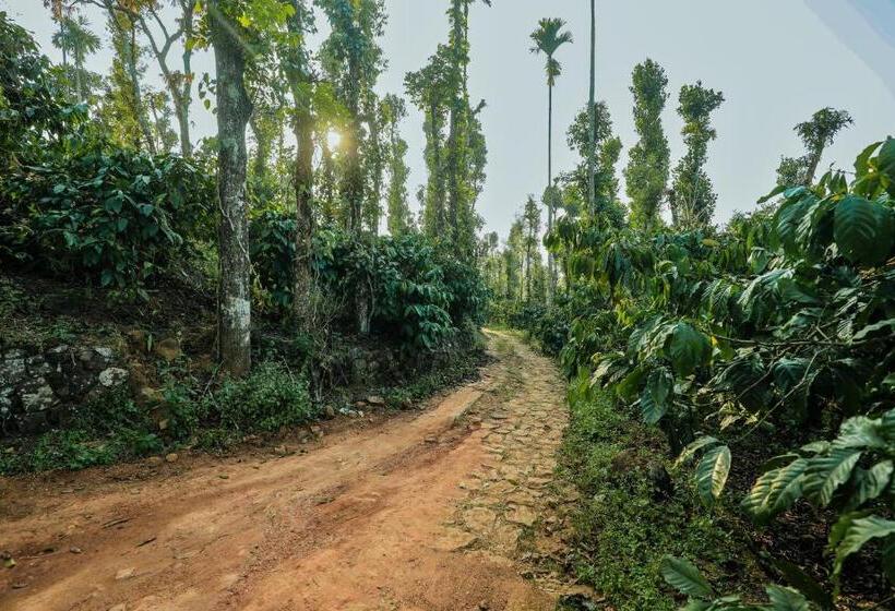 酒店 Hill Rows Estate By Greenescapes