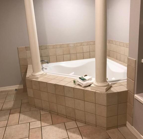 בית מלון כפרי Holiday Inn Club Vacation Galveston Seaside Resort