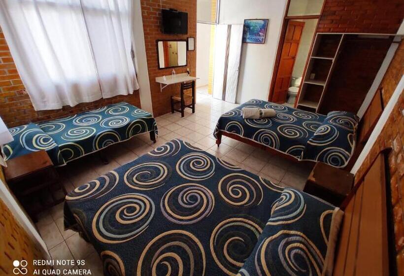 Отель Qp ó Quinta Paquita