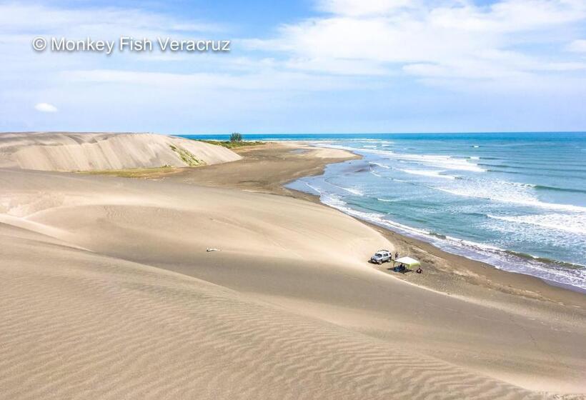 Отель Qp ó Quinta Paquita