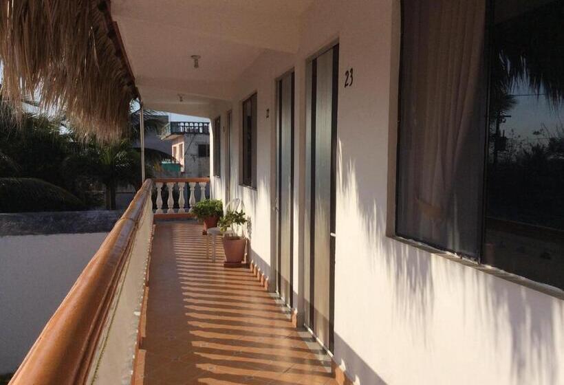 Отель Qp ó Quinta Paquita