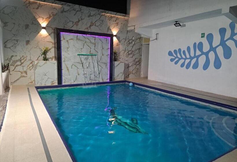 Отель Qp ó Quinta Paquita