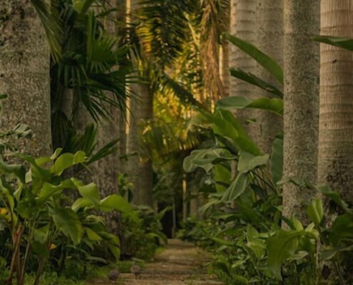 Отель Rancho Eden