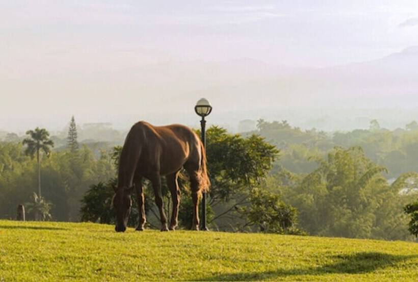 Отель Rancho Eden
