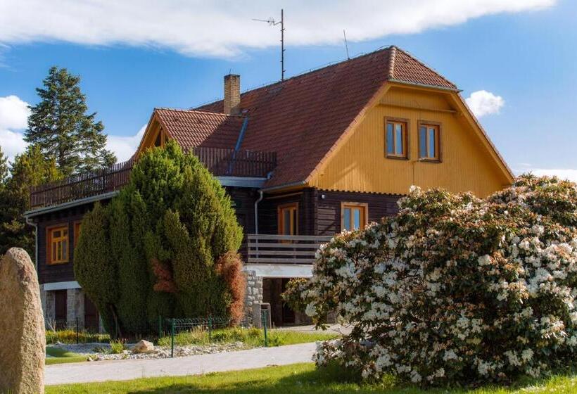 ホテル Resort Olšina