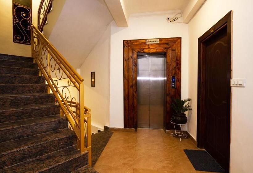 酒店 The Spruce Mansion