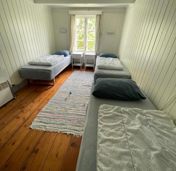 Lofoten Budget Hostel