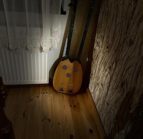 פנסיון музикалната къща