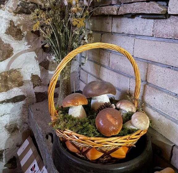 פנסיון музикалната къща