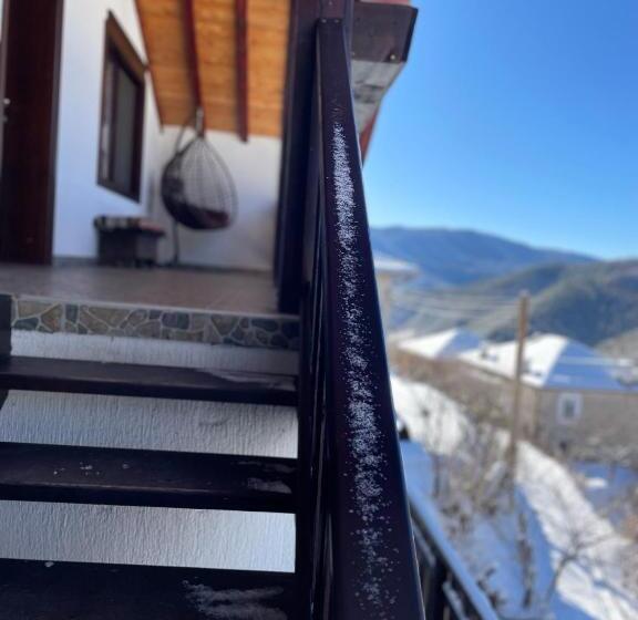 פנסיון музикалната къща