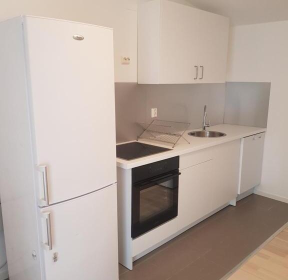 بنسيون Apartment Porsgrunn