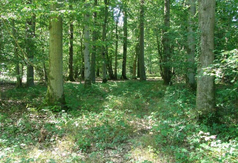 펜션 Au Paradou Du Bûcheron Adults Only