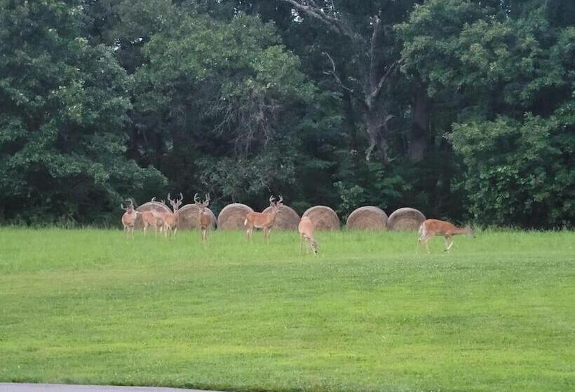 بنسيون Deer Run Estate Llc