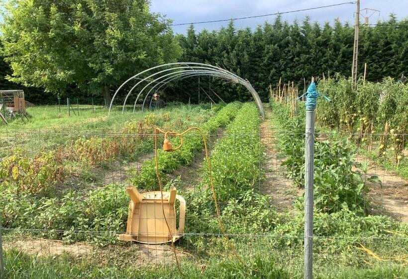 פנסיון La Maison Du Bonheur