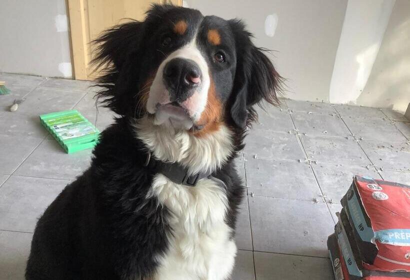 פנסיון La Maison Du Bonheur