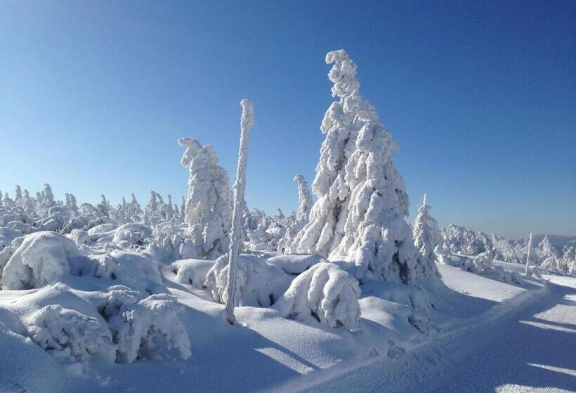 بنسيون Penzion Modrý Pavilon