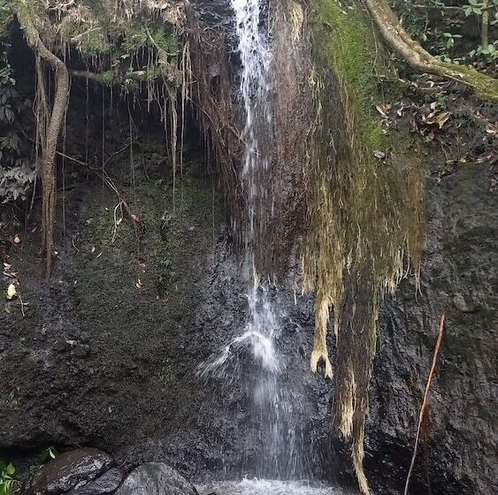 پانسیون Wayra Natura