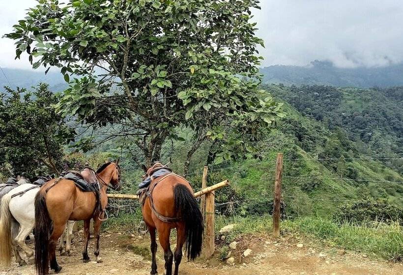 ペンション Wayra Natura