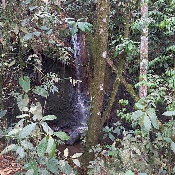 ペンション Wayra Natura