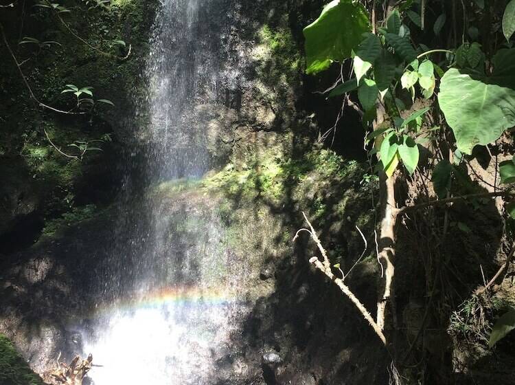 ペンション Wayra Natura