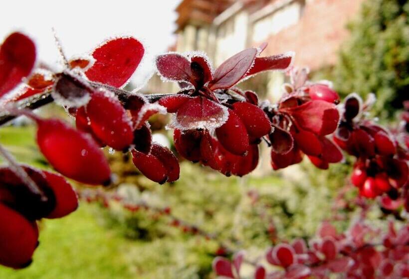 אתר נופש Perlyna Karpat