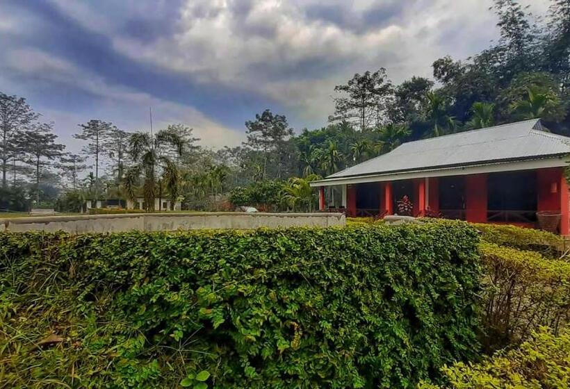 אתר נופש Villa De Hollong