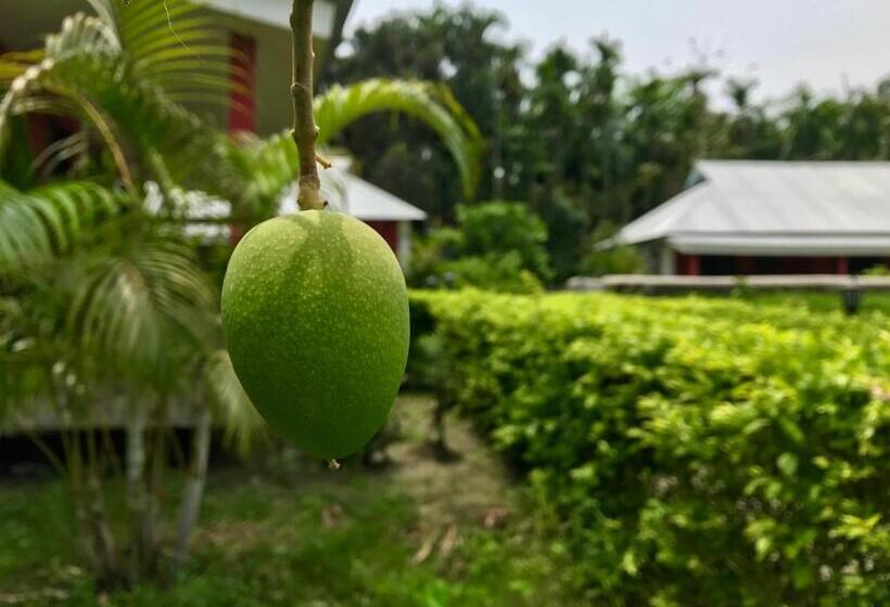 אתר נופש Villa De Hollong