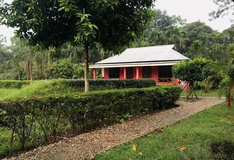 אתר נופש Villa De Hollong