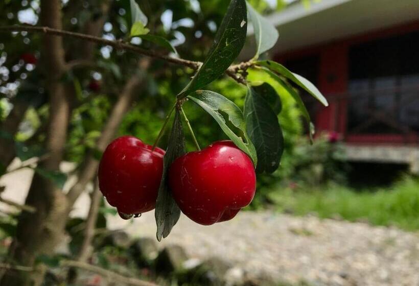 אתר נופש Villa De Hollong