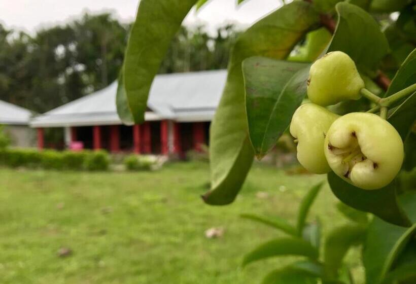 אתר נופש Villa De Hollong