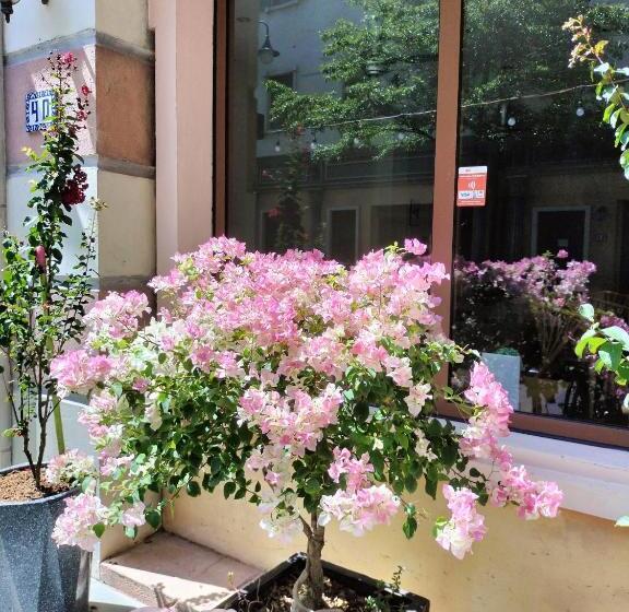 Sea Sunset Hotel Phu Quoc Welcome To A Mixing World Of Friends