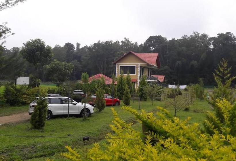 Tiger Tracks Resort