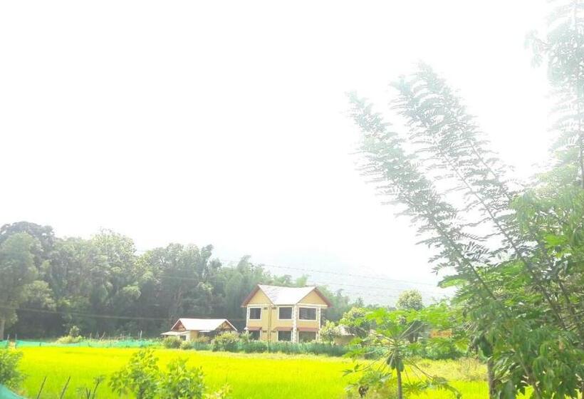 Tiger Tracks Resort