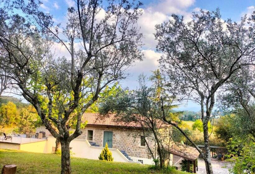 Villa La Passione B&b