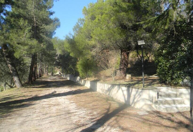 Villa La Passione B&b