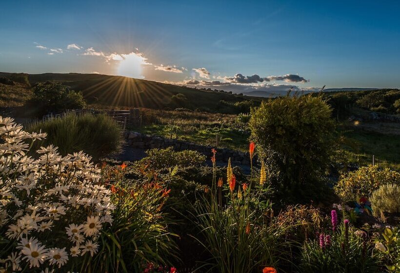 Connemara Haven Guesthouse B&b