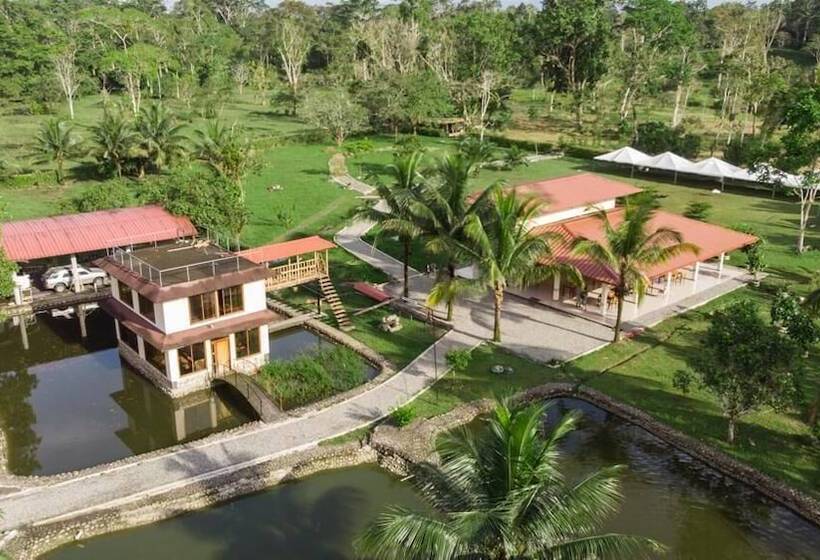 酒店 Magic Paradise