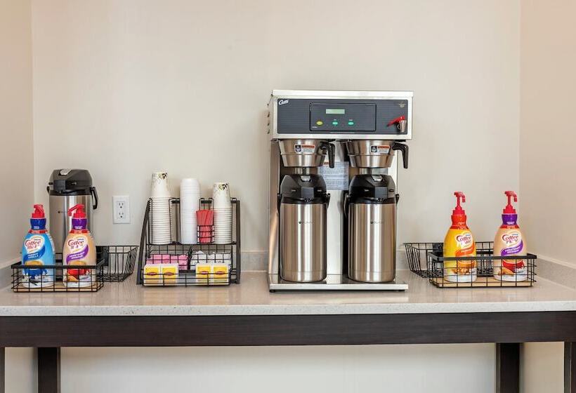 酒店 Red Roof Inn Plus Jamaica, Ny   Jfk Airport