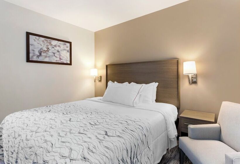 酒店 Red Roof Inn Plus Jamaica, Ny   Jfk Airport