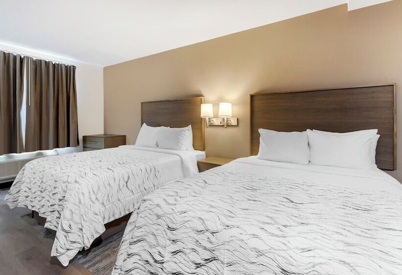 酒店 Red Roof Inn Plus Jamaica, Ny   Jfk Airport