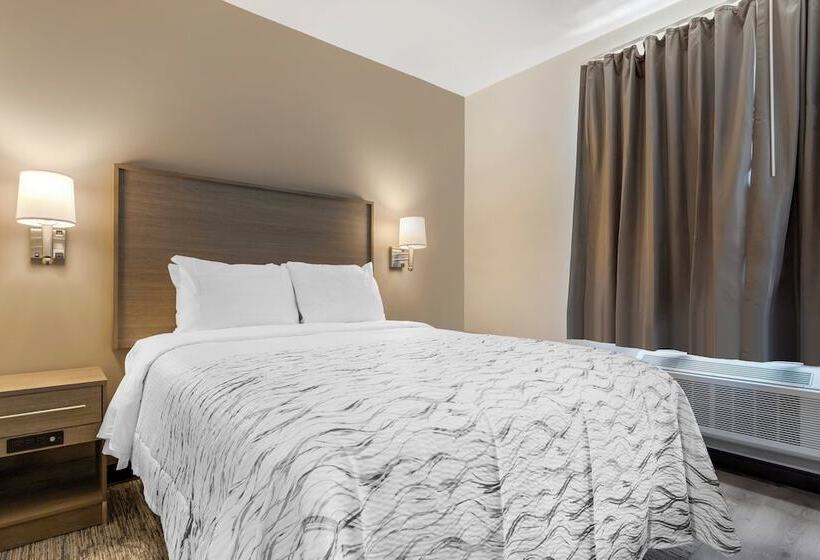 酒店 Red Roof Inn Plus Jamaica, Ny   Jfk Airport