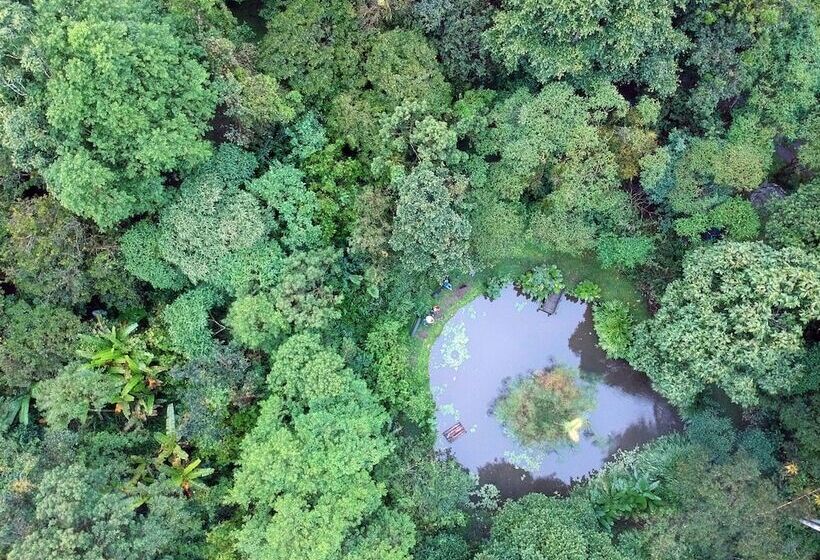 Отель Sacha Urco Lodge Y Bosque Protector