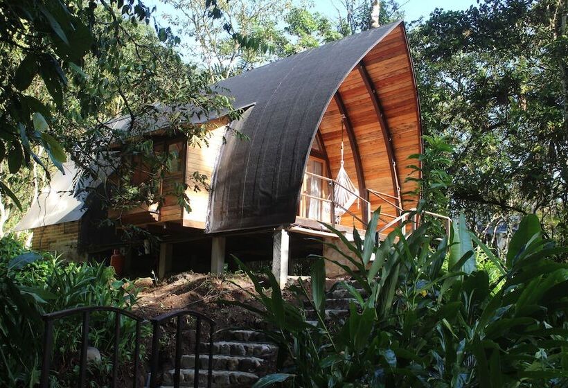 Отель Sacha Urco Lodge Y Bosque Protector