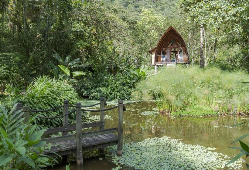 فندق Sacha Urco Lodge Y Bosque Protector