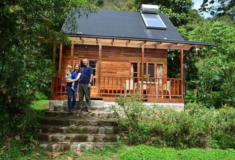 Отель Sacha Urco Lodge Y Bosque Protector