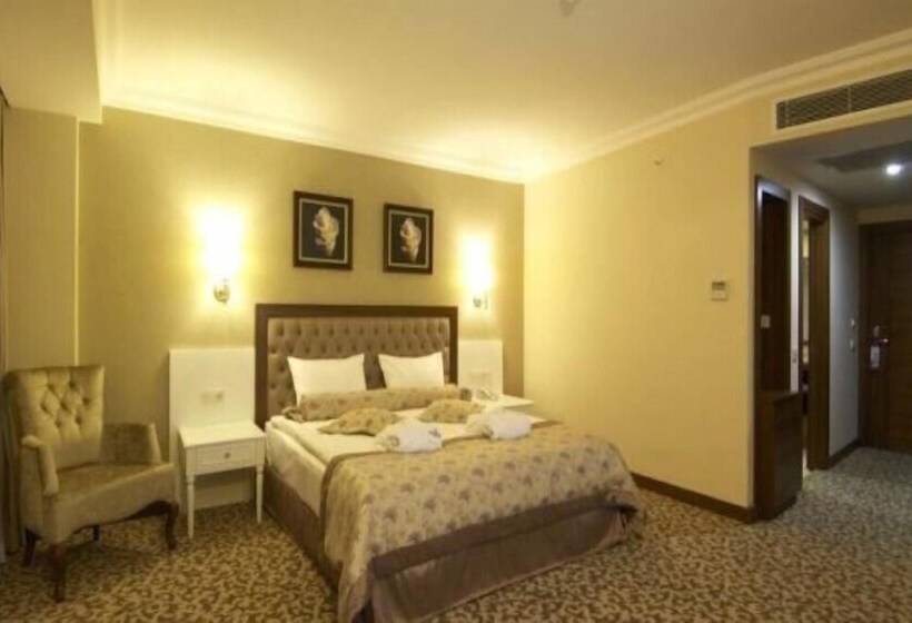 酒店 Safran Thermal Resort Spa & Conveention