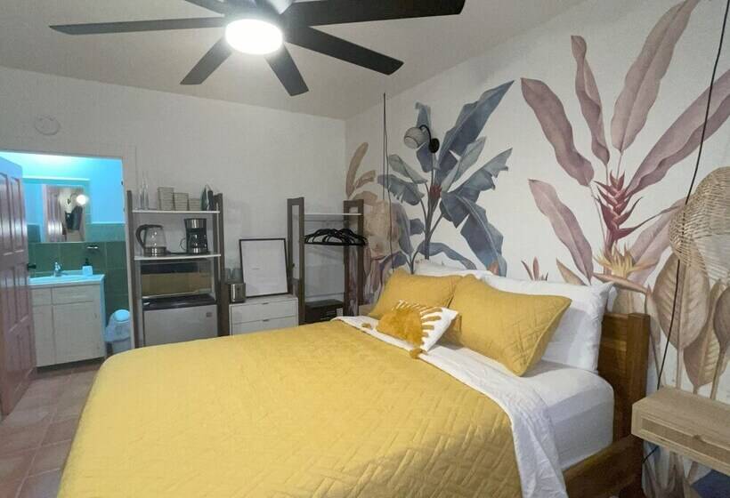 פנסיון Alux House