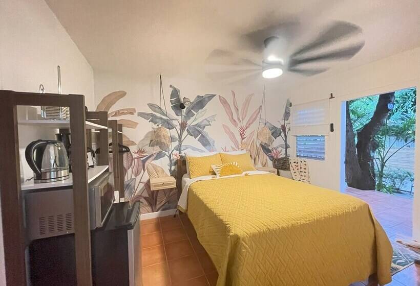 פנסיון Alux House